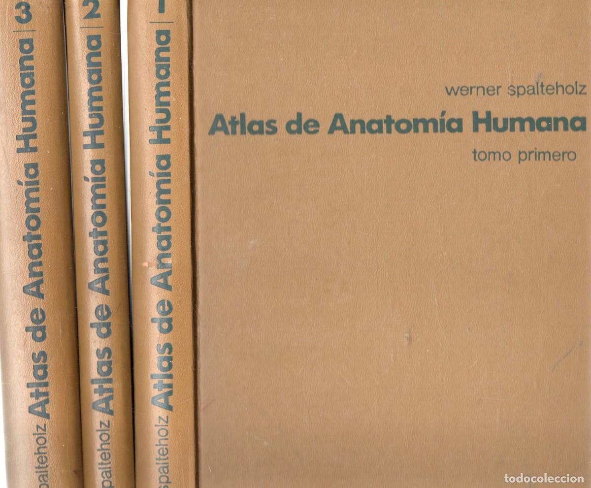 Libros de segunda mano: ATLAS DE ANATOMIA HUMANA. TRES TOMOS. SPALTEHOLZ, WERNER. A-MEDI-1357
