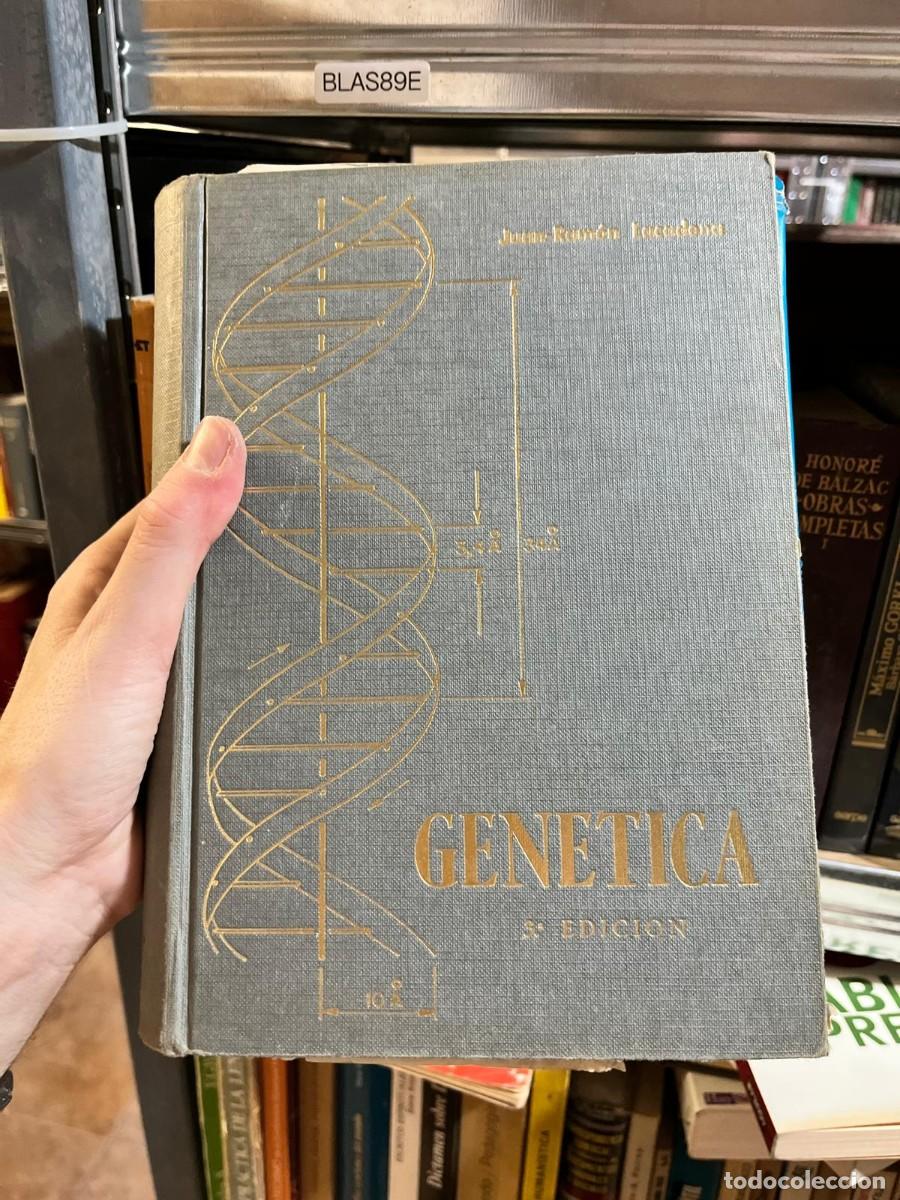 Libros de segunda mano: BLAS89E - Gen&eacute;tica (5.&ordf; edici&oacute;n) &mdash; Juan Ram&oacute;n Lacadena &mdash; AGESA.