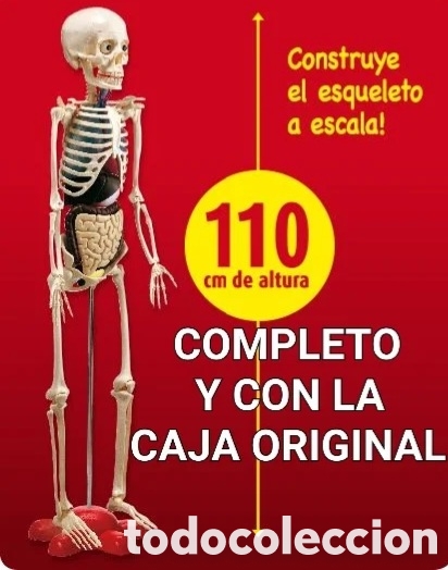 Libros de segunda mano: !!EN SU CAJA ORIGINAL!! 100% COMPLETA ESQUELETO + &Oacute;RGANOS + BASE + DE LA COLECCION EL CUERPO HUMANO
