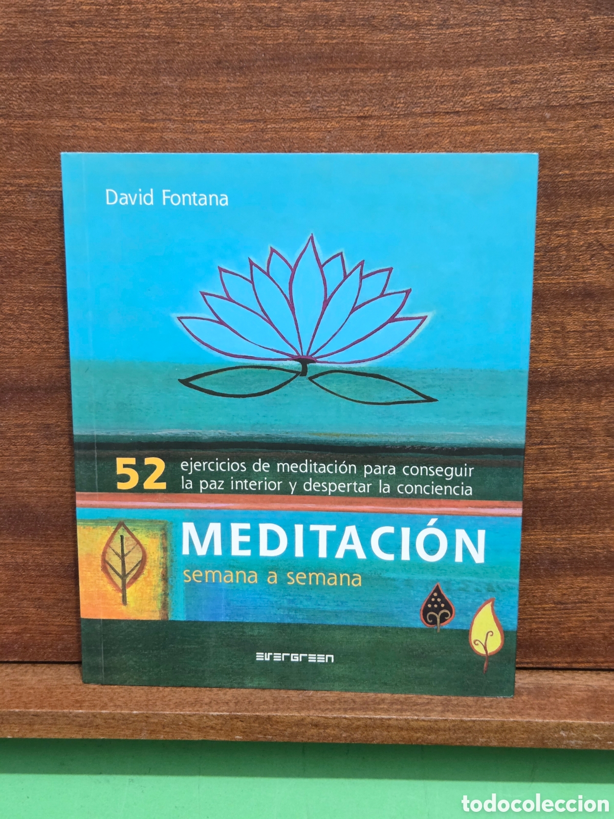 Libros de segunda mano: &rdquo;&rdquo;MEDITACI&Oacute;N, SEMANA A SEMANA&rdquo;&rdquo;...52 EJERCICIOS DE MEDITACI&Oacute;N...DAVID FONTANA...EVERGREN..2004...