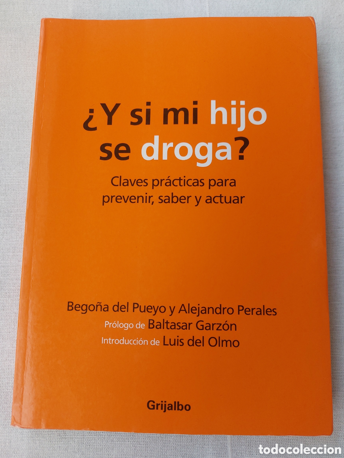 Libros de segunda mano: &iquest;Y si mi hijo se droga?