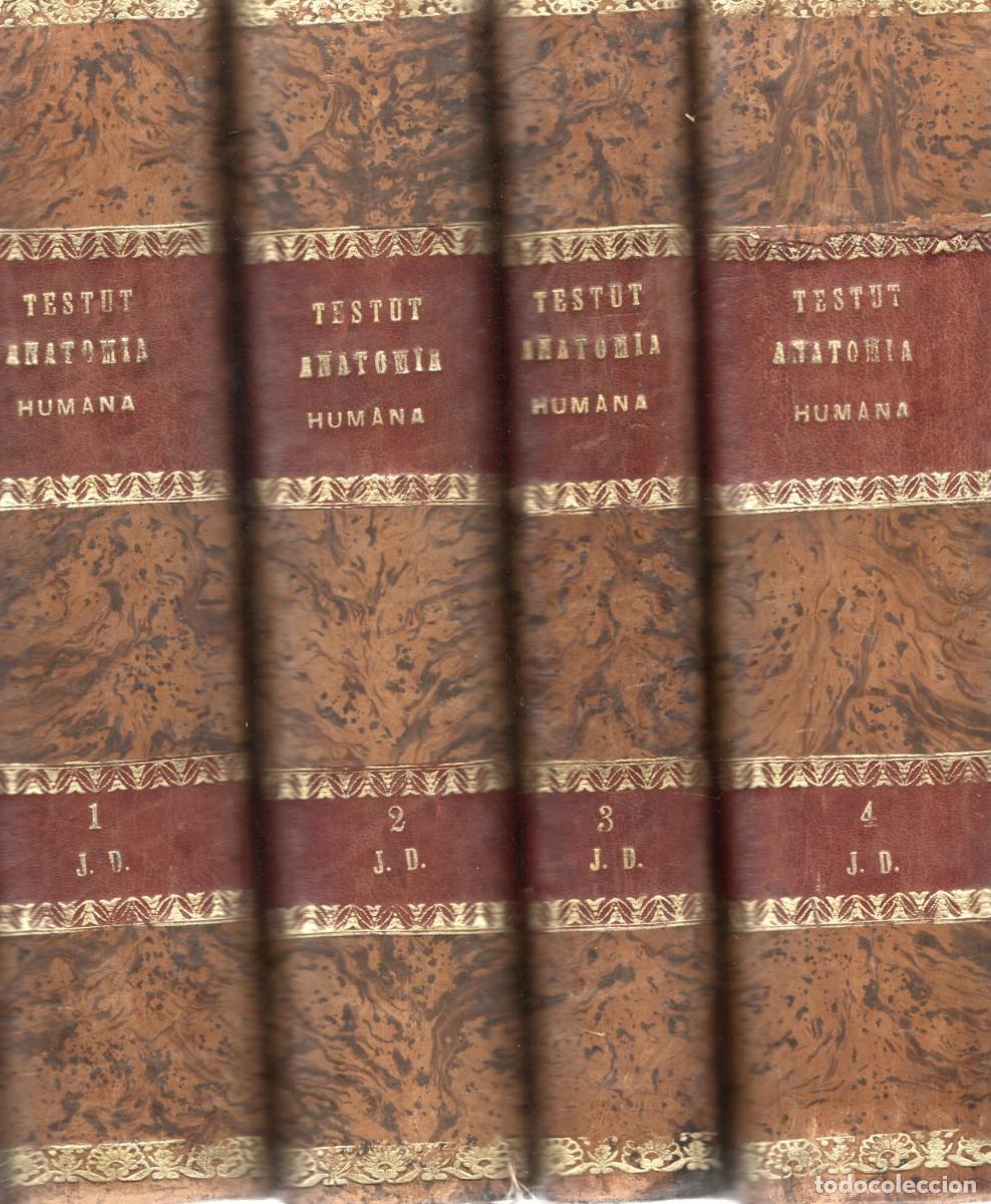 Libros de segunda mano: TRATADO DE ANATOMIA HUMANA. TOMOS 1, 2, 3 Y 4. LESTUT, L. A-MEDI-1406