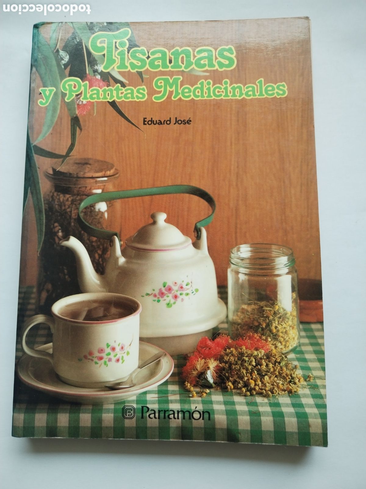 Libros de segunda mano: TISANAS Y PLANTAS MEDICINALES