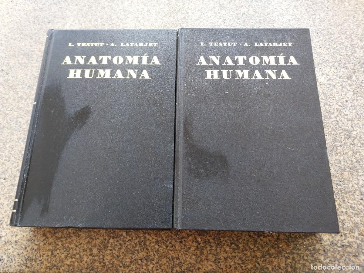 Libros de segunda mano: ANATOMIA HUMANA -- TOMO I Y II -- TESTUT & LATARJET -- SALVAT 1975 --
