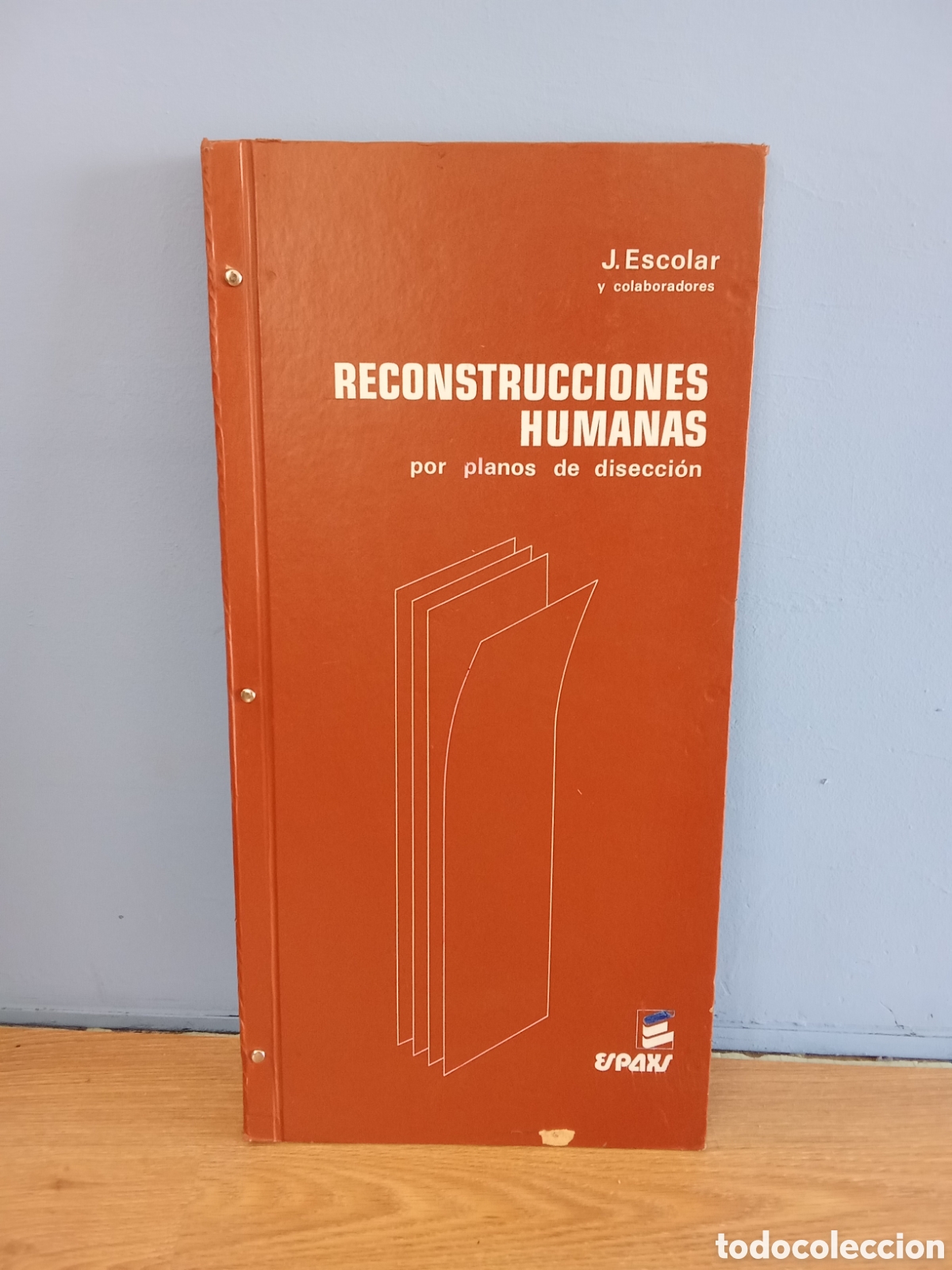 Libros de segunda mano: Reconstrucciones humanas por planos de disecci&oacute;n - J. Escobar - Espaxs