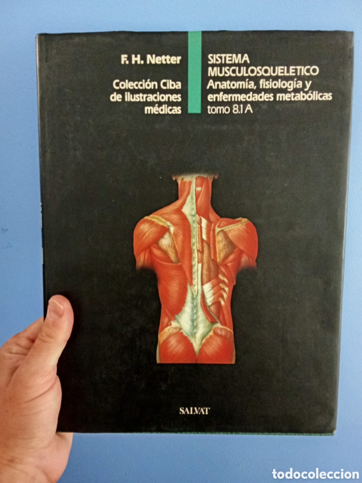 Libros de segunda mano: Colecci&oacute;n Ciba ilustraciones m&eacute;dicas - Sistema Musculosqueletico Tomo 8.1A - F. H. Netter