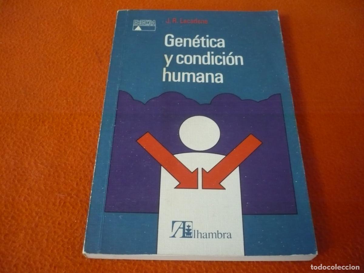 Libros de segunda mano: GENETICA Y CONDICION HUMANA ( LACADENA ) CIENCIA EVOLUCION DETERMINISMO BIOLOGICO