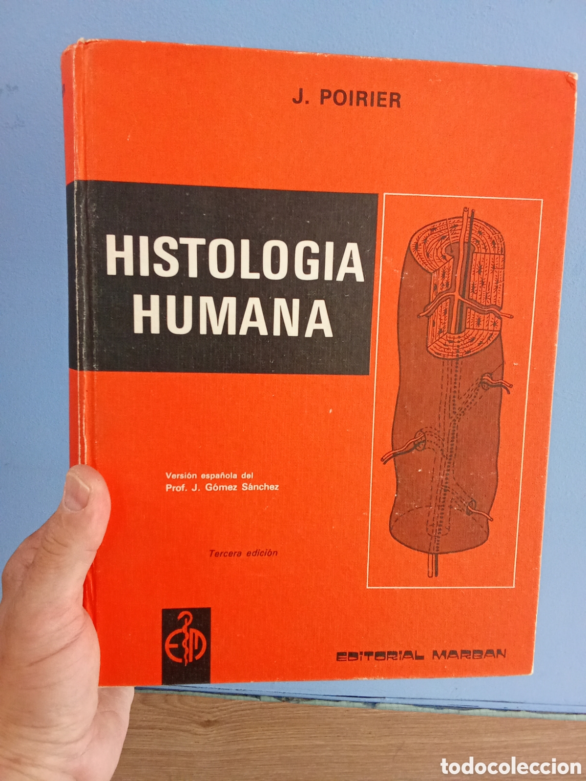 Libros de segunda mano: Histolog&iacute;a humana - J. Poirier - Editorial Marban