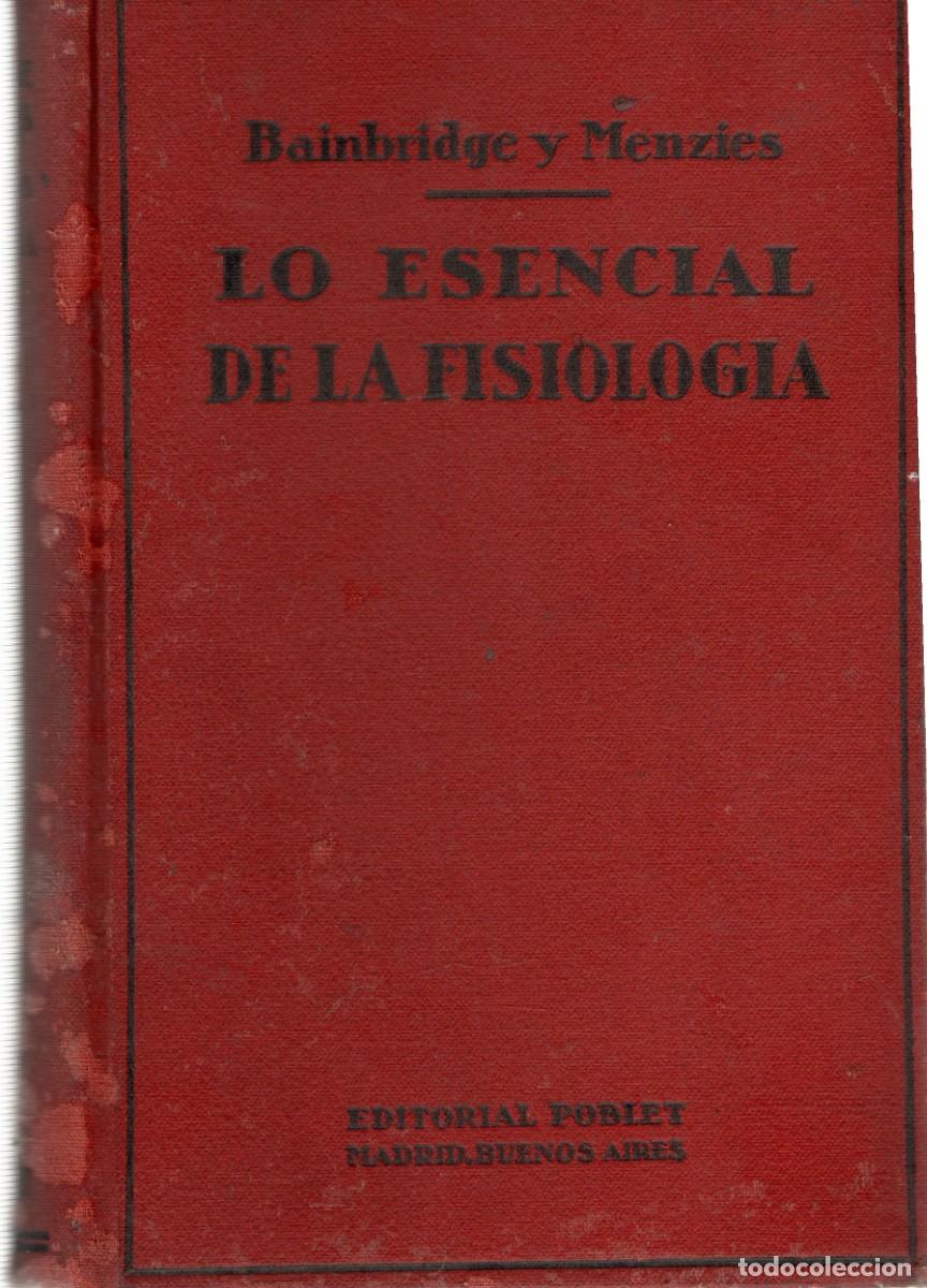 Libros de segunda mano: LO ESENCIAL DE LA FISIOLOGIA. BAINBRIDGE Y MENZIES. A-MEDI-1413