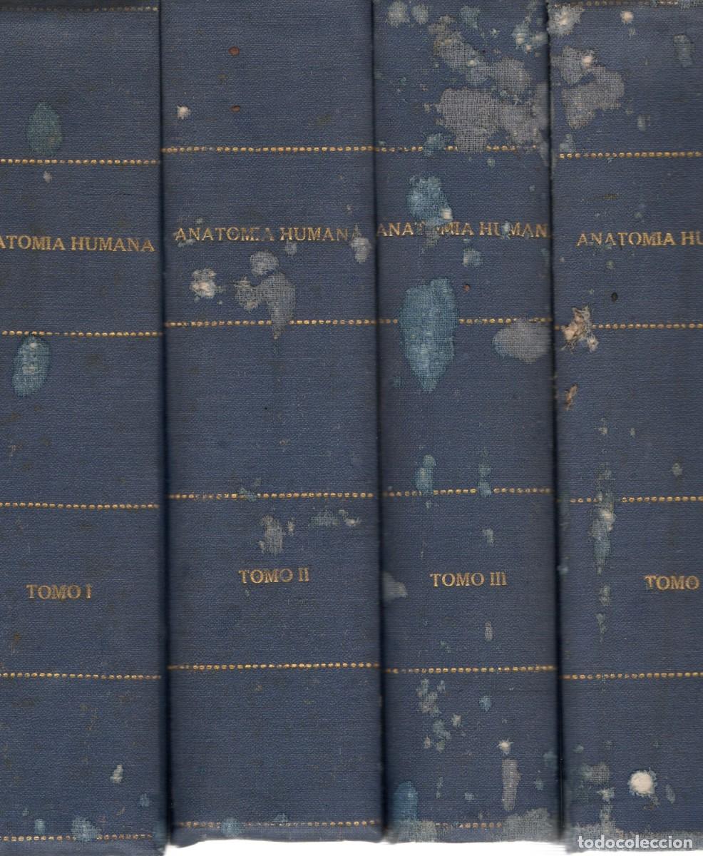 Libros de segunda mano: TRATADO DE ANATOMIA HUMANA TOMOS I, II, III Y IV. CESTUT, L. A-MEDI-1416