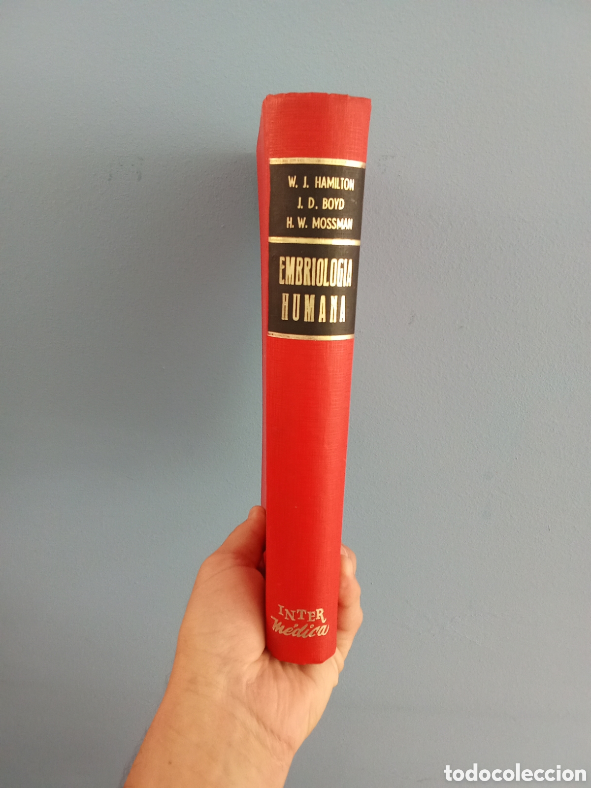 Libros de segunda mano: Embriolog&iacute;a humana - Hamilton / Boyd / Mossman - Editorial Interamericana