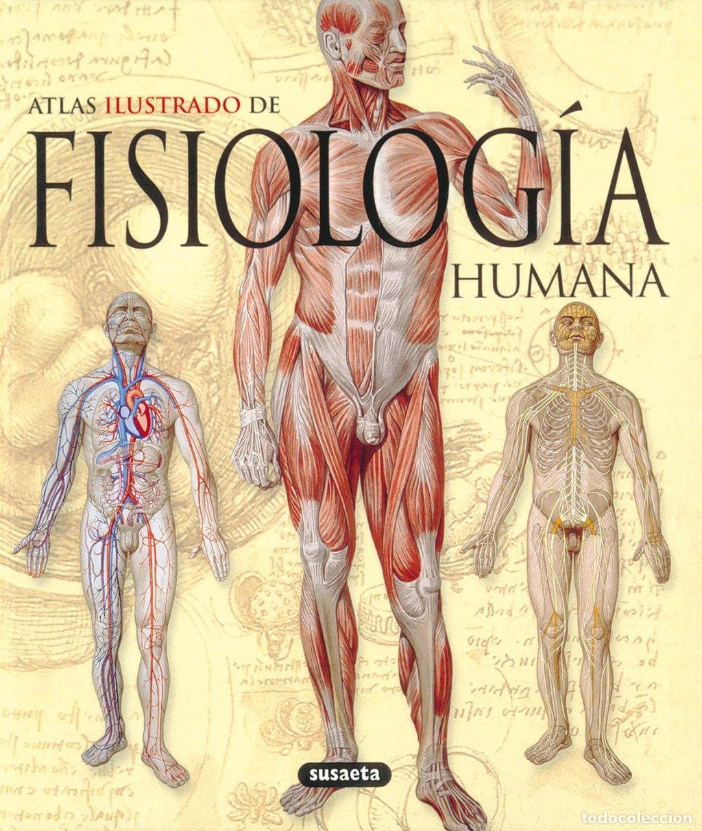 Libros de segunda mano: Fisiolog&iacute;a Humana - Equipo Susaeta - Susaeta Ediciones - Atlas Ilustrado, 86