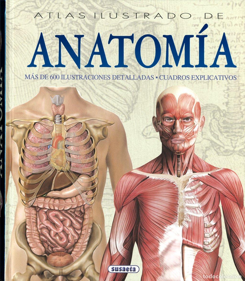 Libros de segunda mano: Anatom&iacute;a - Adriana Rigutti - Susaeta Ediciones - Atlas Ilustrado, N&ordm; 1