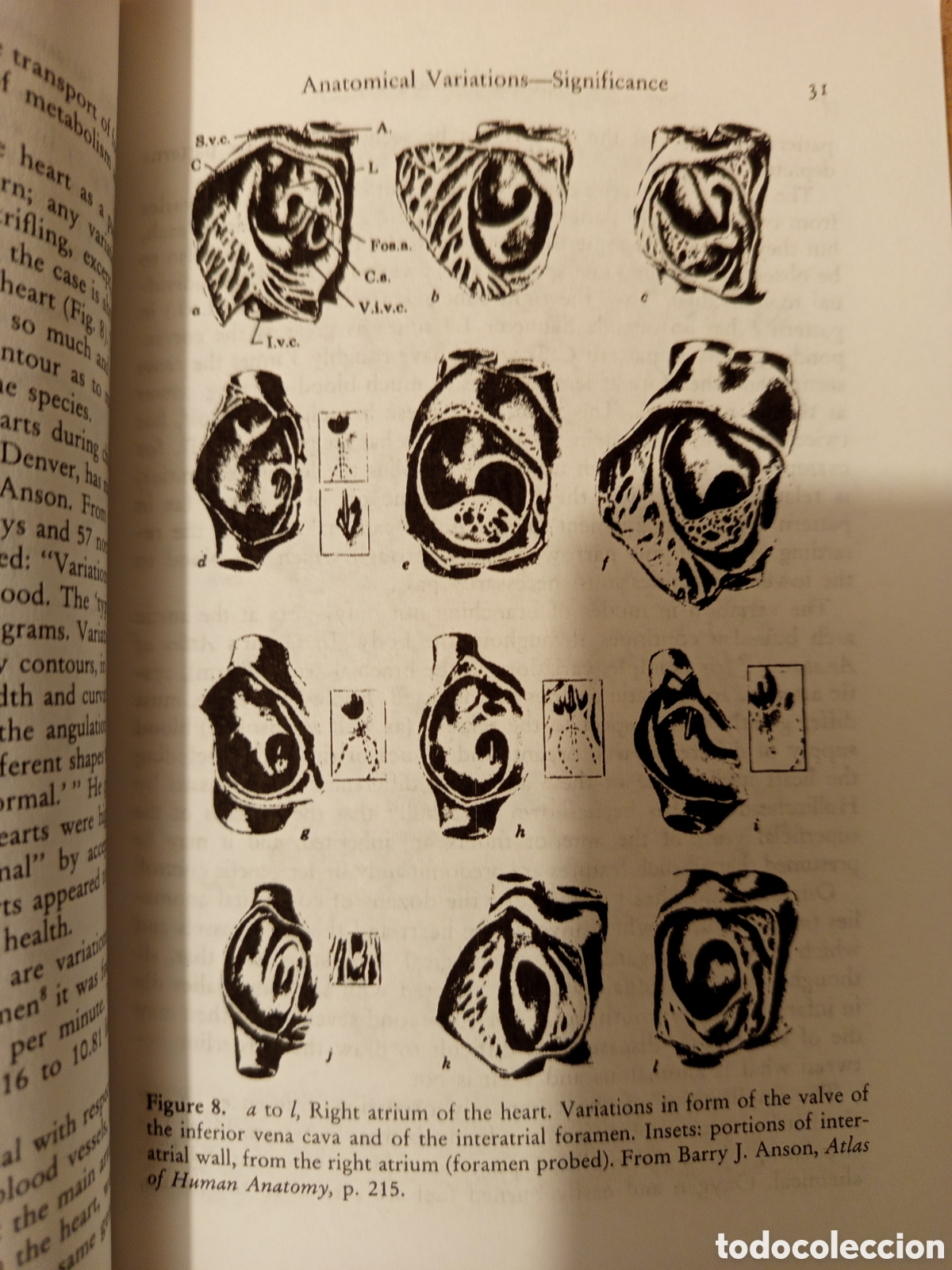 Libros de segunda mano: BIOCHEMICAL INDIVIDUALITY (ROGER J. WILLIAMS, PH.D.) - Foto 8