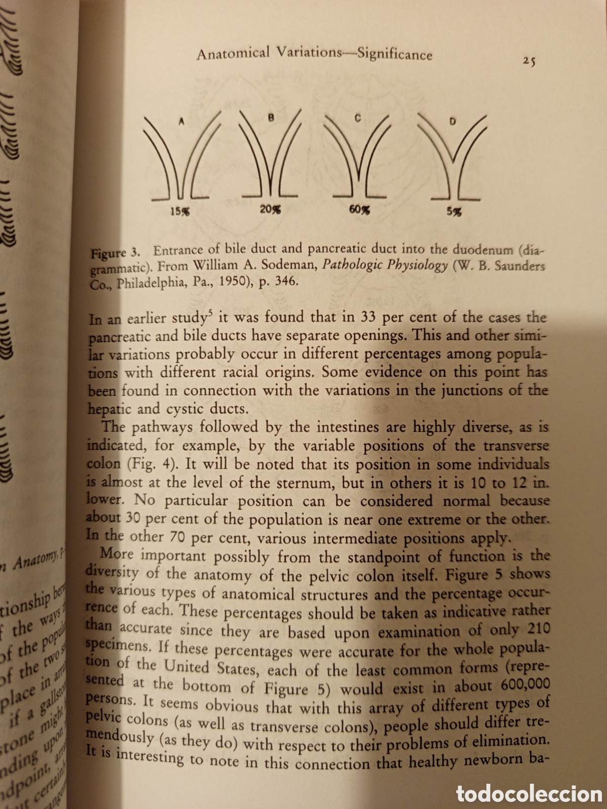 Libros de segunda mano: BIOCHEMICAL INDIVIDUALITY (ROGER J. WILLIAMS, PH.D.) - Foto 10