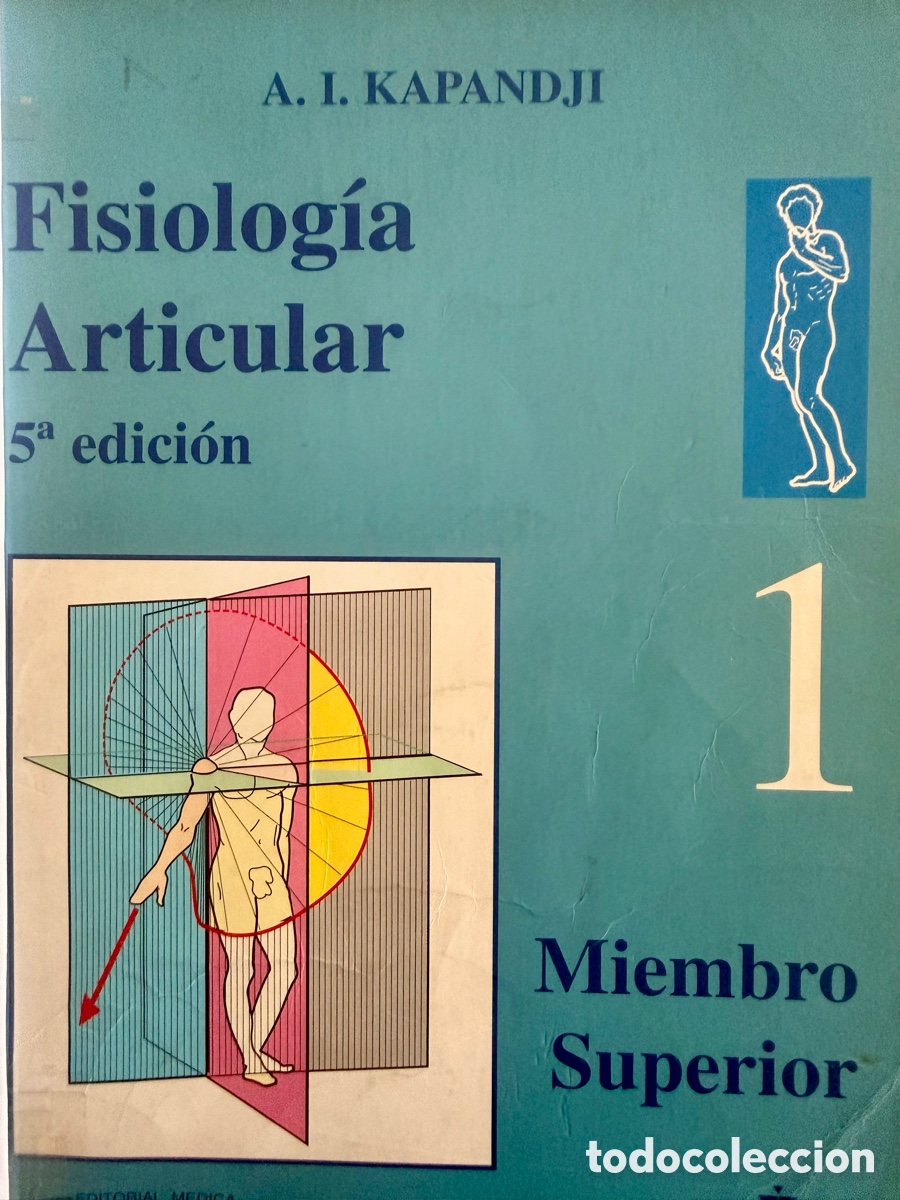 Libros de segunda mano: Fisiolog&iacute;a Articular Esquemas Comentados de Mec&aacute;nica Humana
