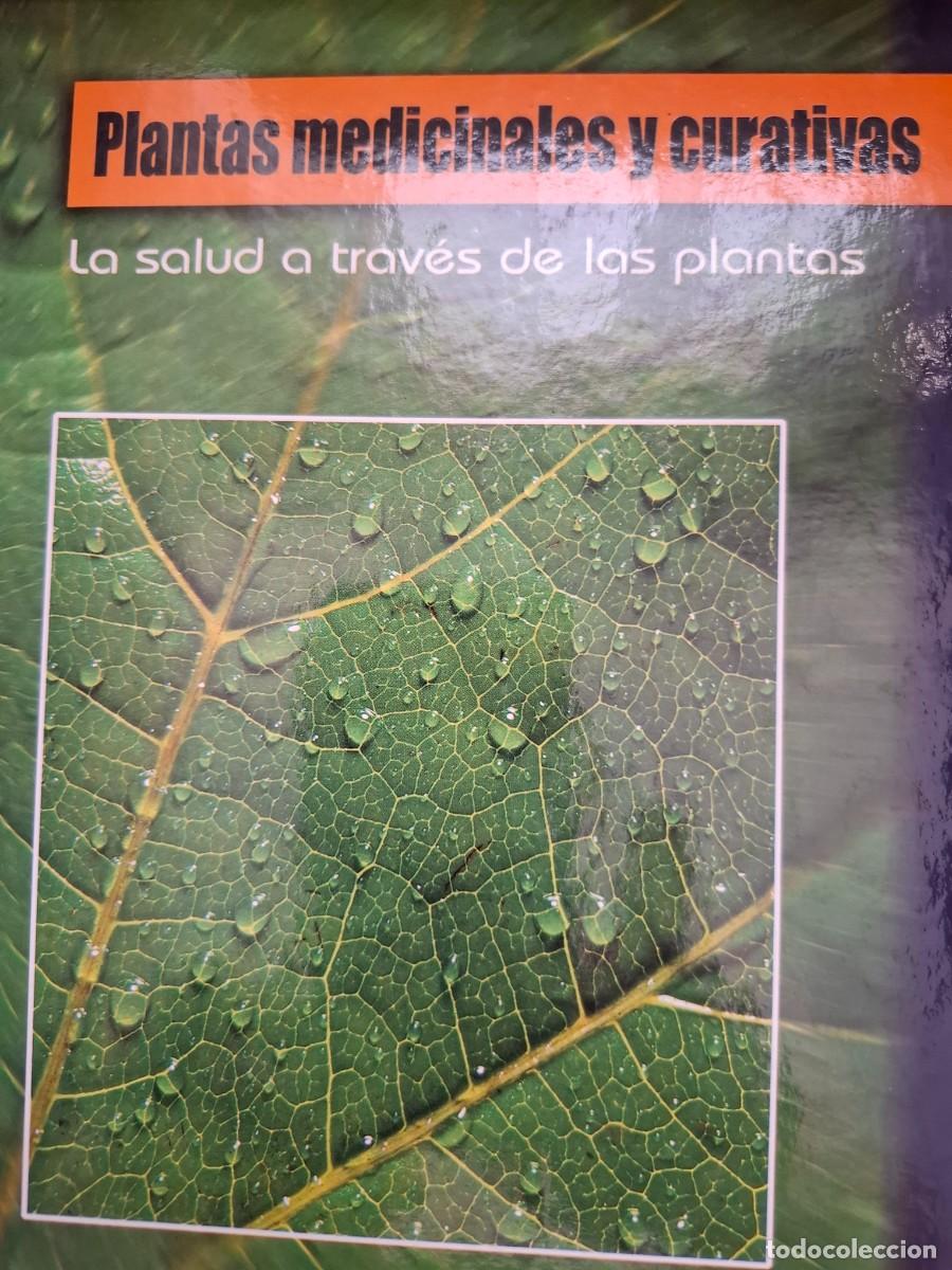 Livres d'occasion: plantas medicinales y curativas la salud a trav&eacute;s de las plantas Ram&oacute;n F&ograve;res