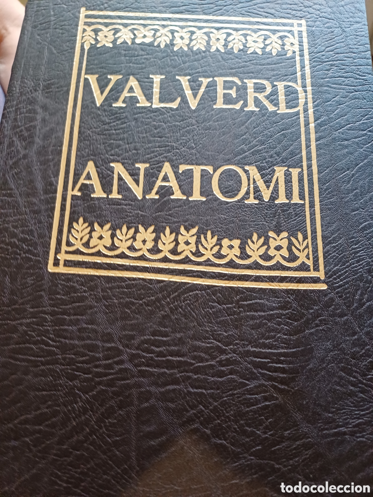 Libros de segunda mano: HISTORIA DELL'ANATOMIA de GIOUANNI VALUERDE
