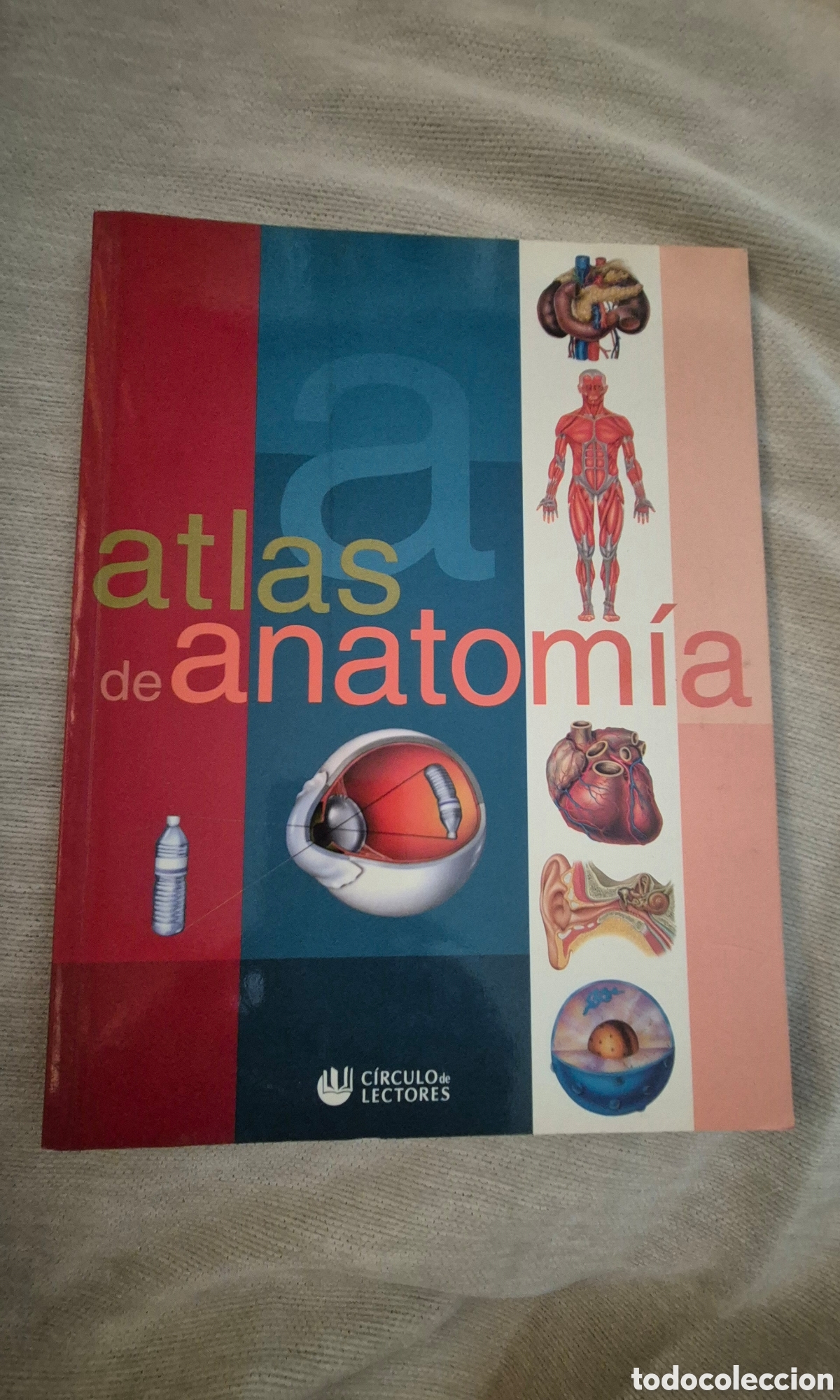Libros de segunda mano: Atlas de anatom&iacute;a. C&iacute;rculo de Lectores