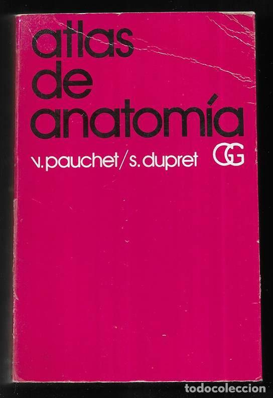 Libros de segunda mano: Atlas de Anatom&iacute;a ediciones G. Gili, S.A. M&eacute;xico S/F.