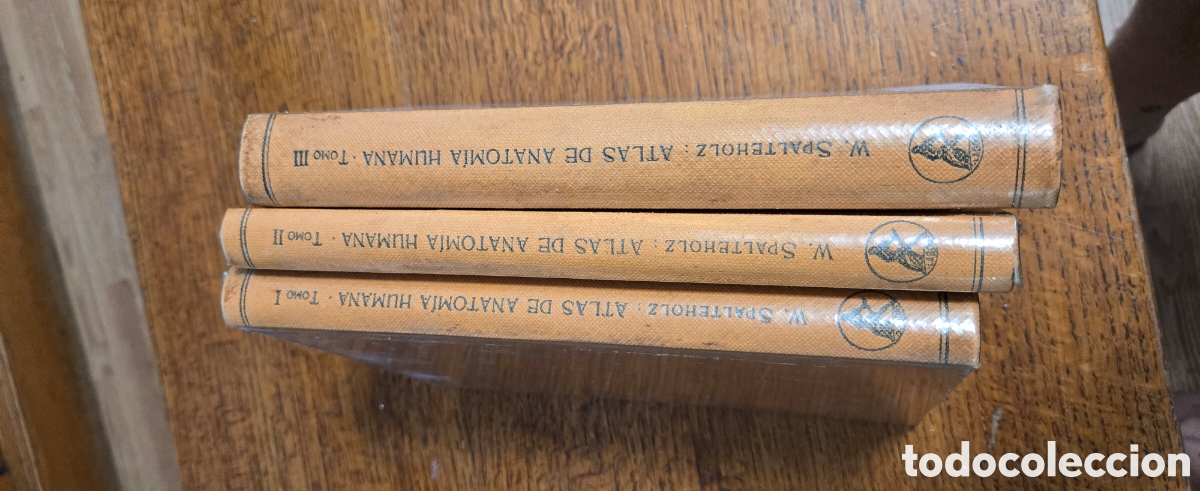 Libros de segunda mano: Atlas de Anatom&iacute;a Humana Werner Spalteholz (3 tomos completos) &ndash; 2.&ordf; edici&oacute;n 1963 &ndash; Editorial Labor
