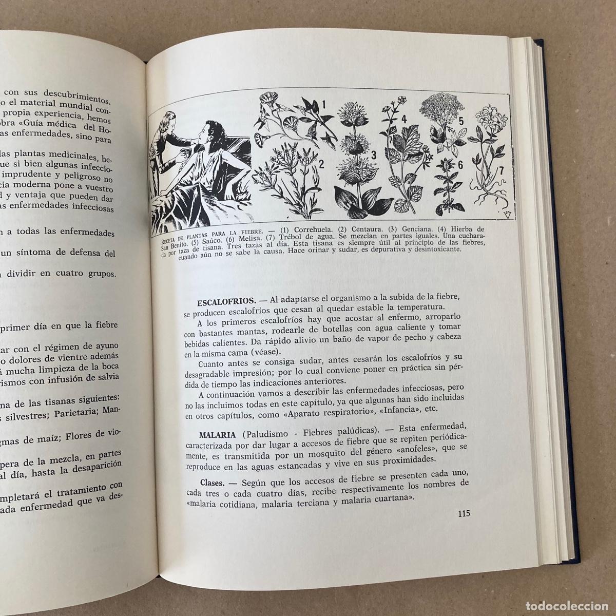 Libros de segunda mano: LIBRO PLANTAS MEDICINALES - DR ADRIAN VANDER - 1982 - Foto 5