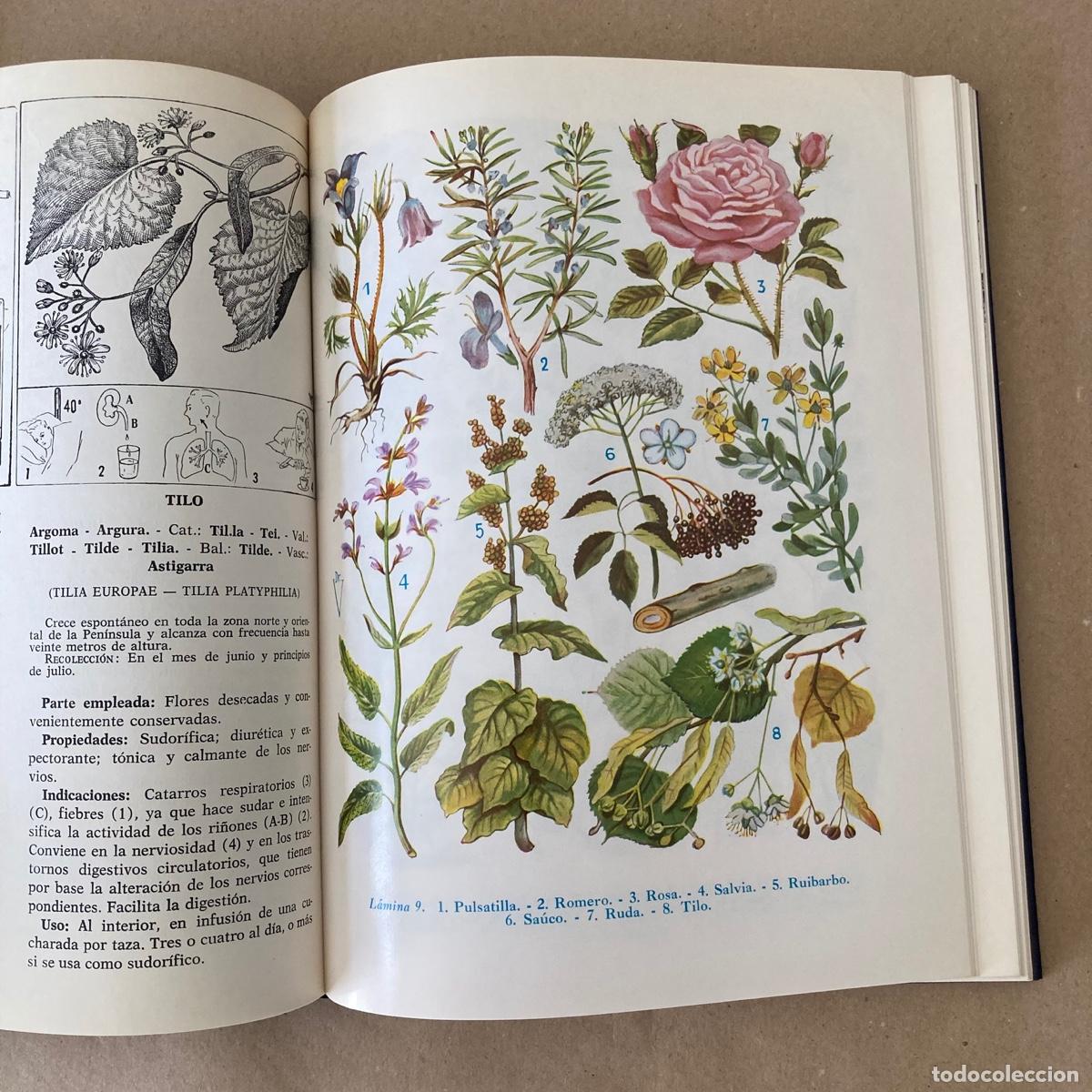 Libros de segunda mano: LIBRO PLANTAS MEDICINALES - DR ADRIAN VANDER - 1982 - Foto 6