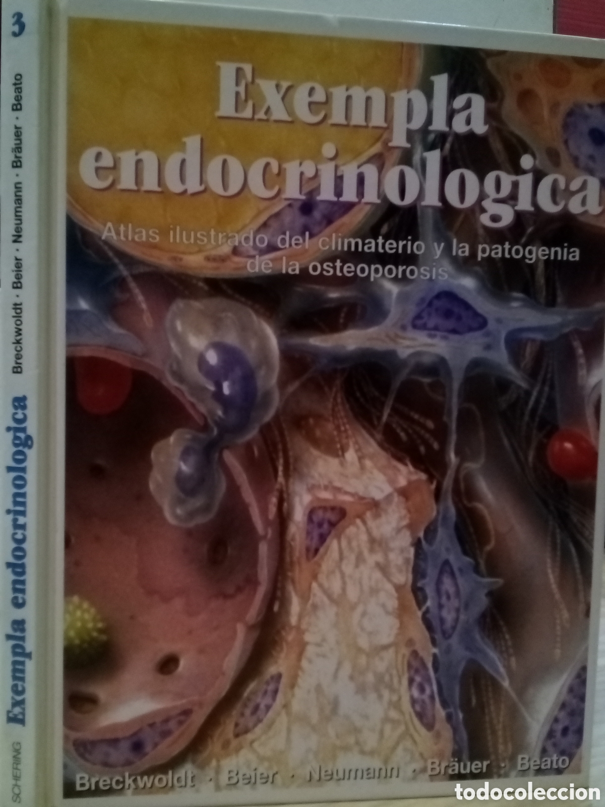 Libri di seconda mano: Exempla endocrinologica. Breckwoldt, Beier, Neumann, Br&auml;uer, Beato
