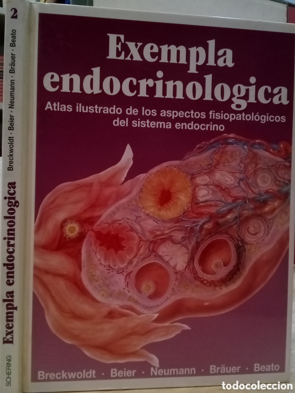 Second hand books: Exempla endocrinologica N&deg;2. Breckwoldt, Beier, Neumann, Br&auml;uer, Beato