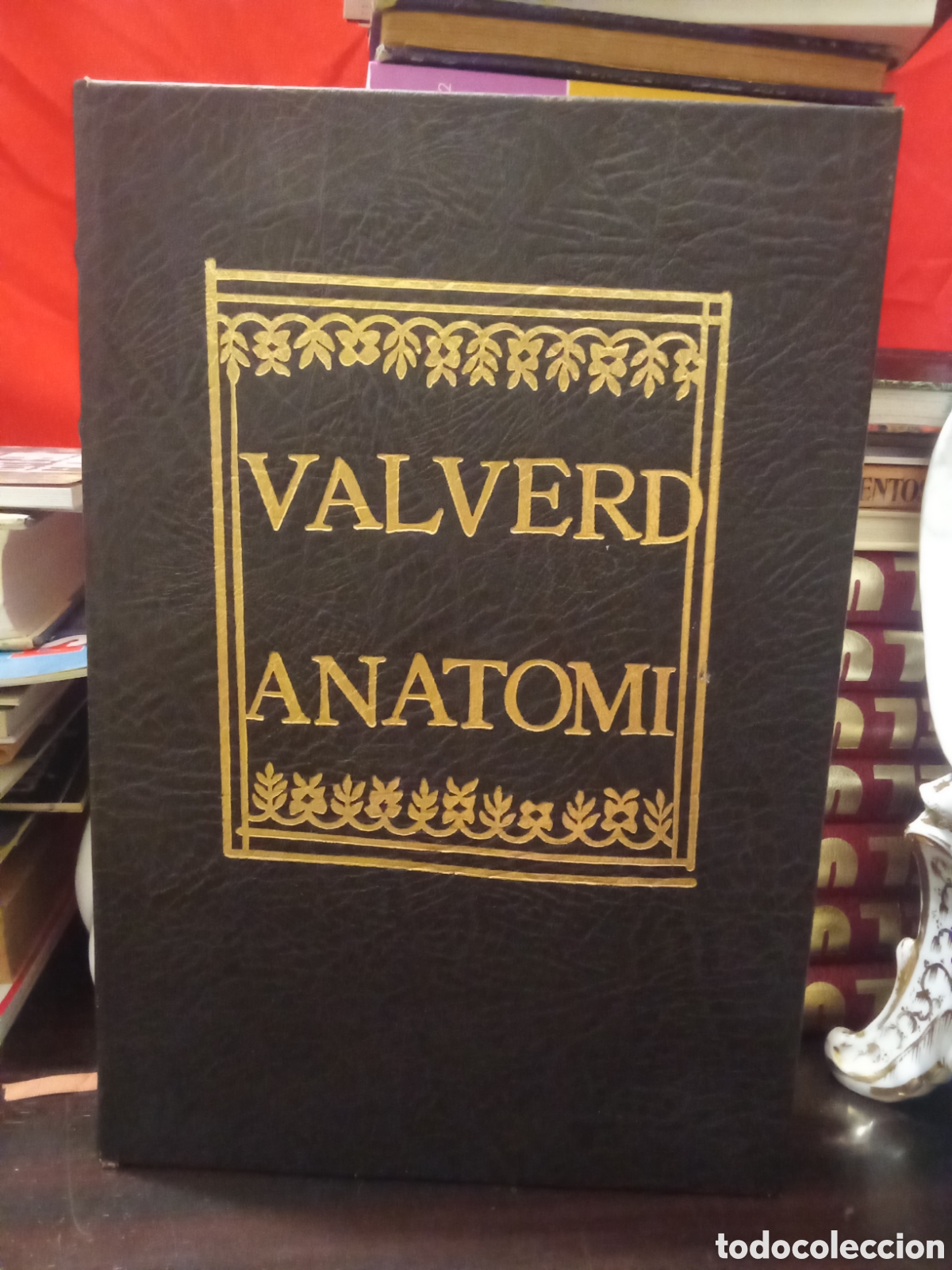 Libros de segunda mano: VALVERD ANATOMI - Anatom&iacute;a - Juan Valverde de Amusco - FACS&Iacute;MIL