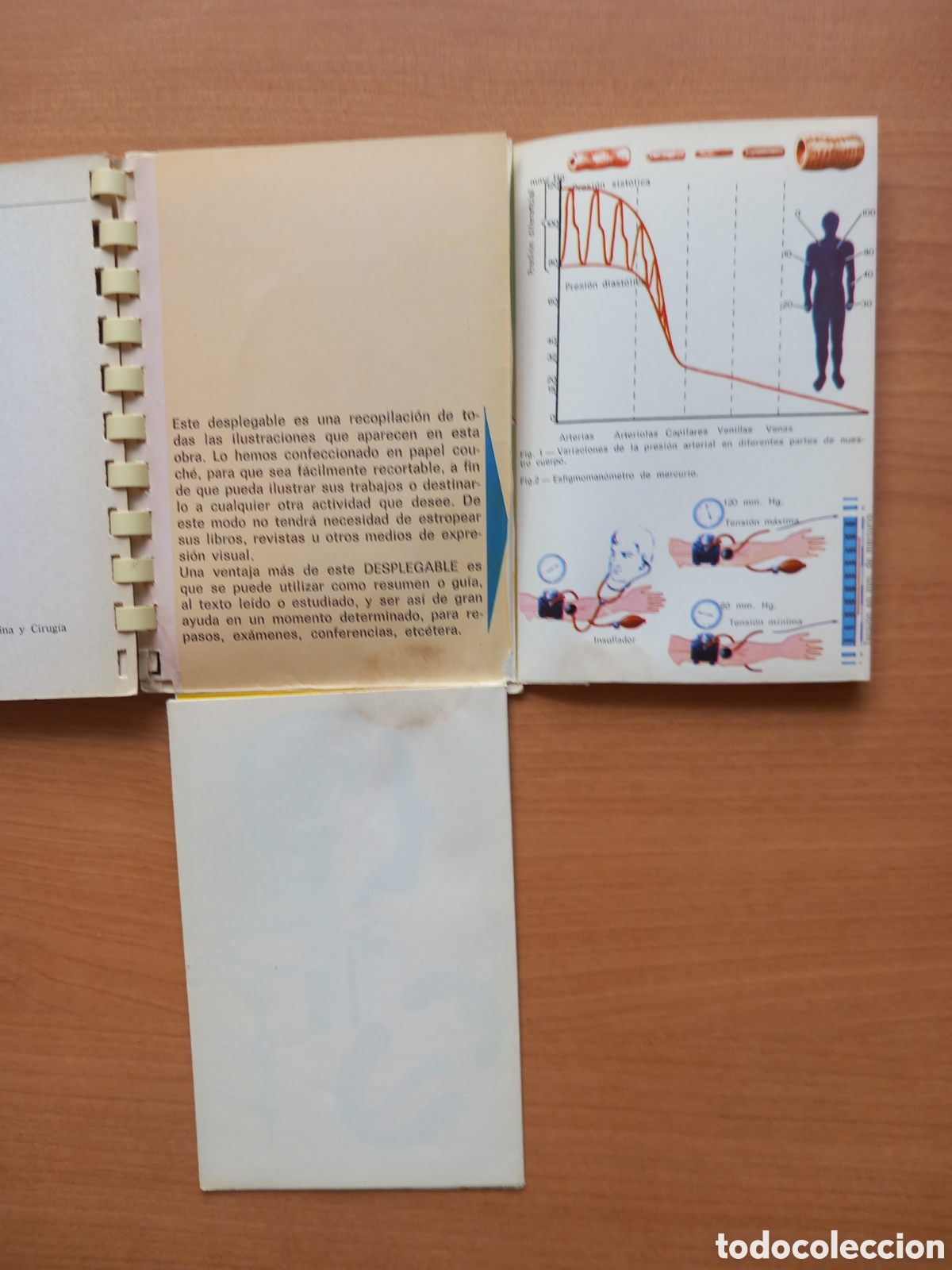 Libros de segunda mano: Aparato circulatorio - Foto 3