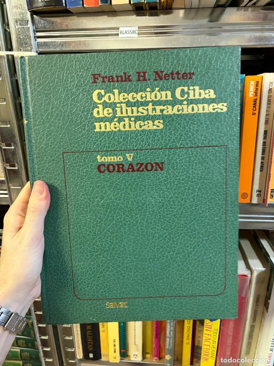 Libros de segunda mano: BLAS58C Frank H. Netter Colecci&oacute;n Ciba de ilustraciones m&eacute;dicas. Tomo V: Coraz&oacute;n Salvat