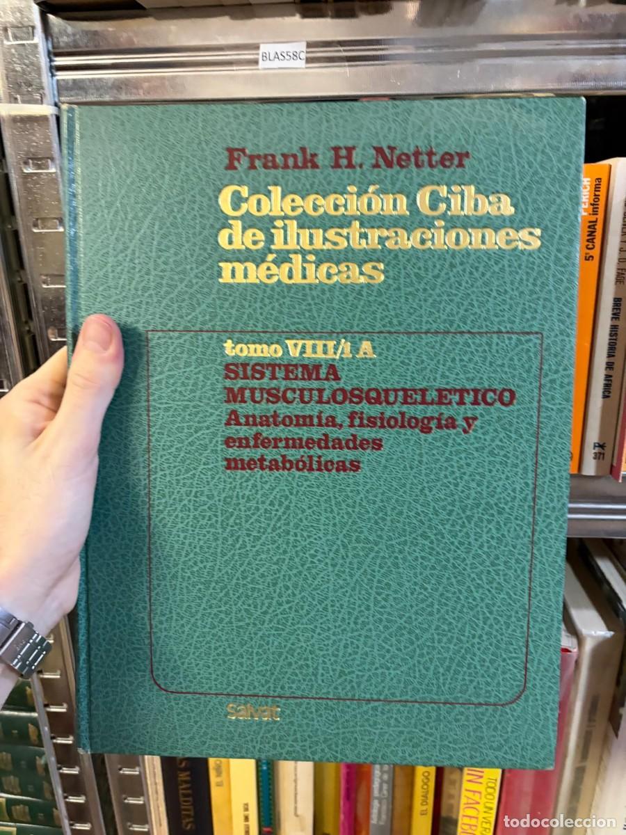 Libros de segunda mano: BLAS58C Frank H. Netter Colecci&oacute;n Ciba de ilustraciones m&eacute;dicas. Tomo VIII/1A: Sistema musculoesquel