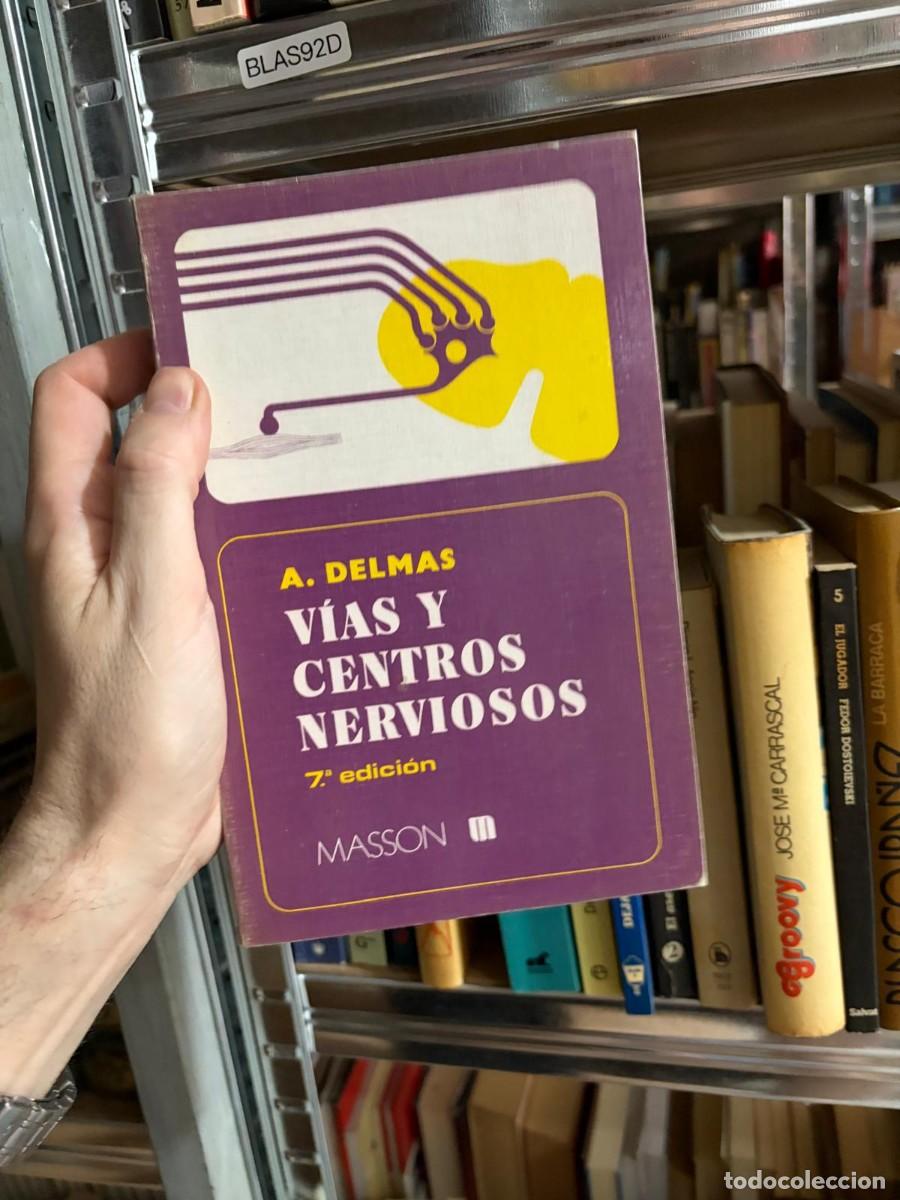 Libros de segunda mano: BLAS92D V&iacute;as y centros nerviosos (7.&ordf; edici&oacute;n) &mdash; A. Delmas &mdash; Masson