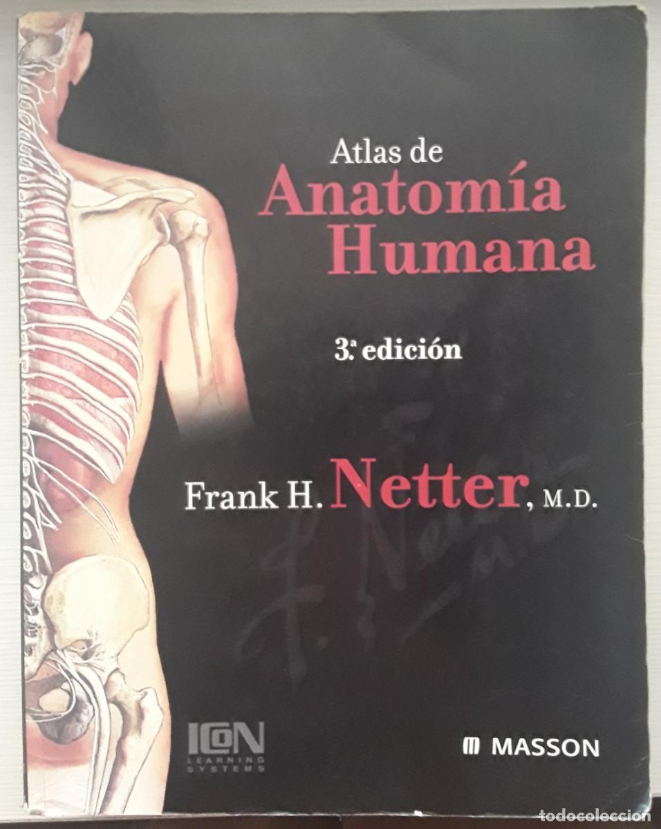 Libros de segunda mano: ATLAS DE ANATOM&Iacute;A HUMANA. FRANK H. NETTER.