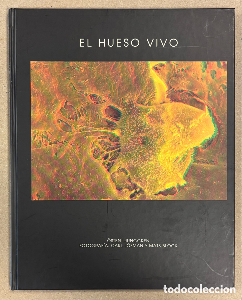 Gebrauchte B&uuml;cher: EL HUESO VIVO. OSTEN LJUNGGREN. FOTOGRAF&Iacute;A: CARL LOFMAN Y MATS BLOCK.