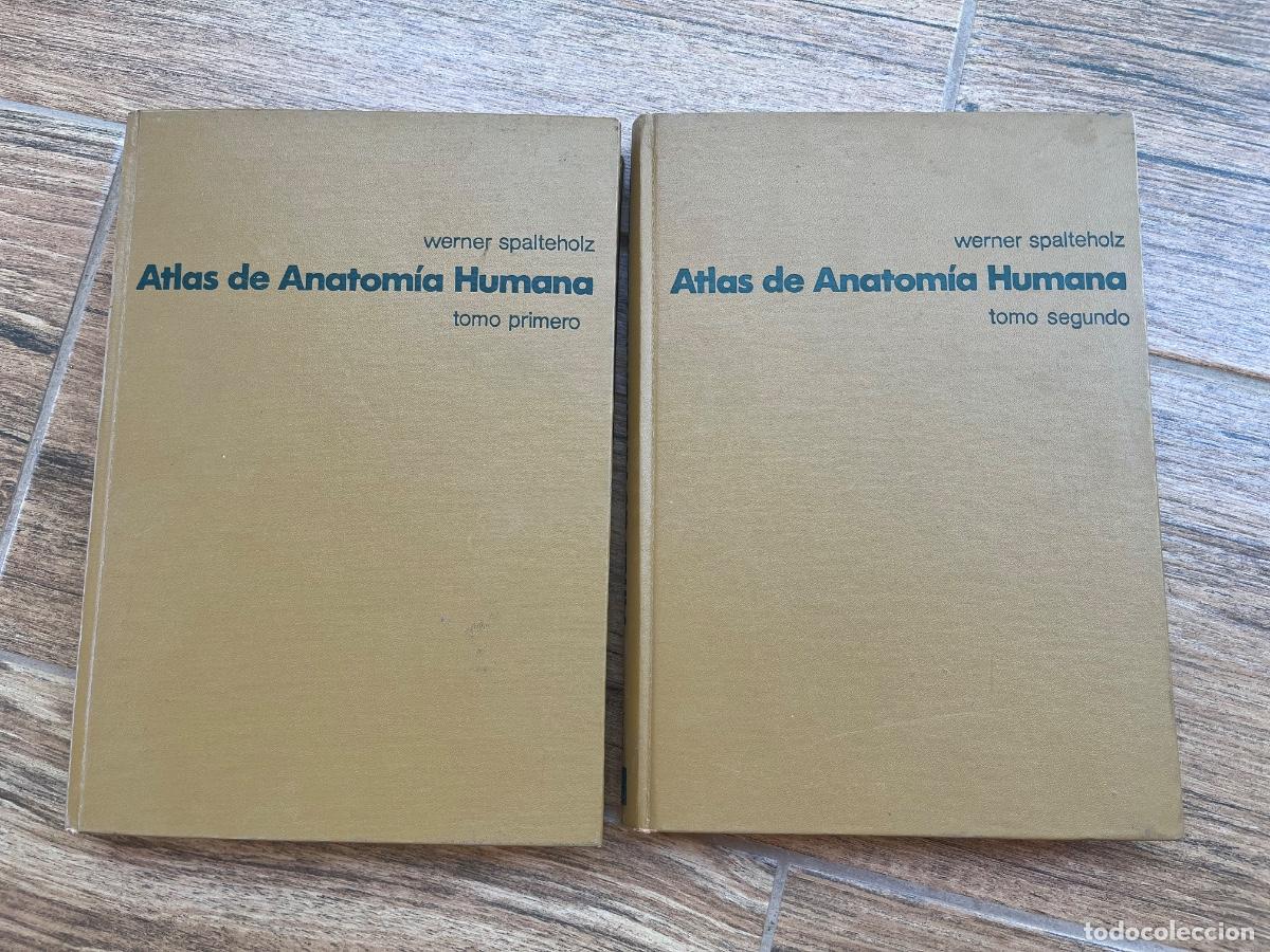 Libros de segunda mano: ATLAS DE ANATOM&Iacute;A HUMANA, 3 TOMOS, Werner Spalteholz