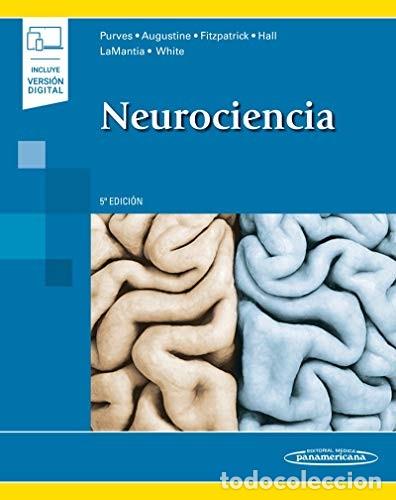 Libros de segunda mano: Neurociencia - Dale, Purves - Editorial M&eacute;dica Panamericana - 5&ordf; Edici&oacute;n