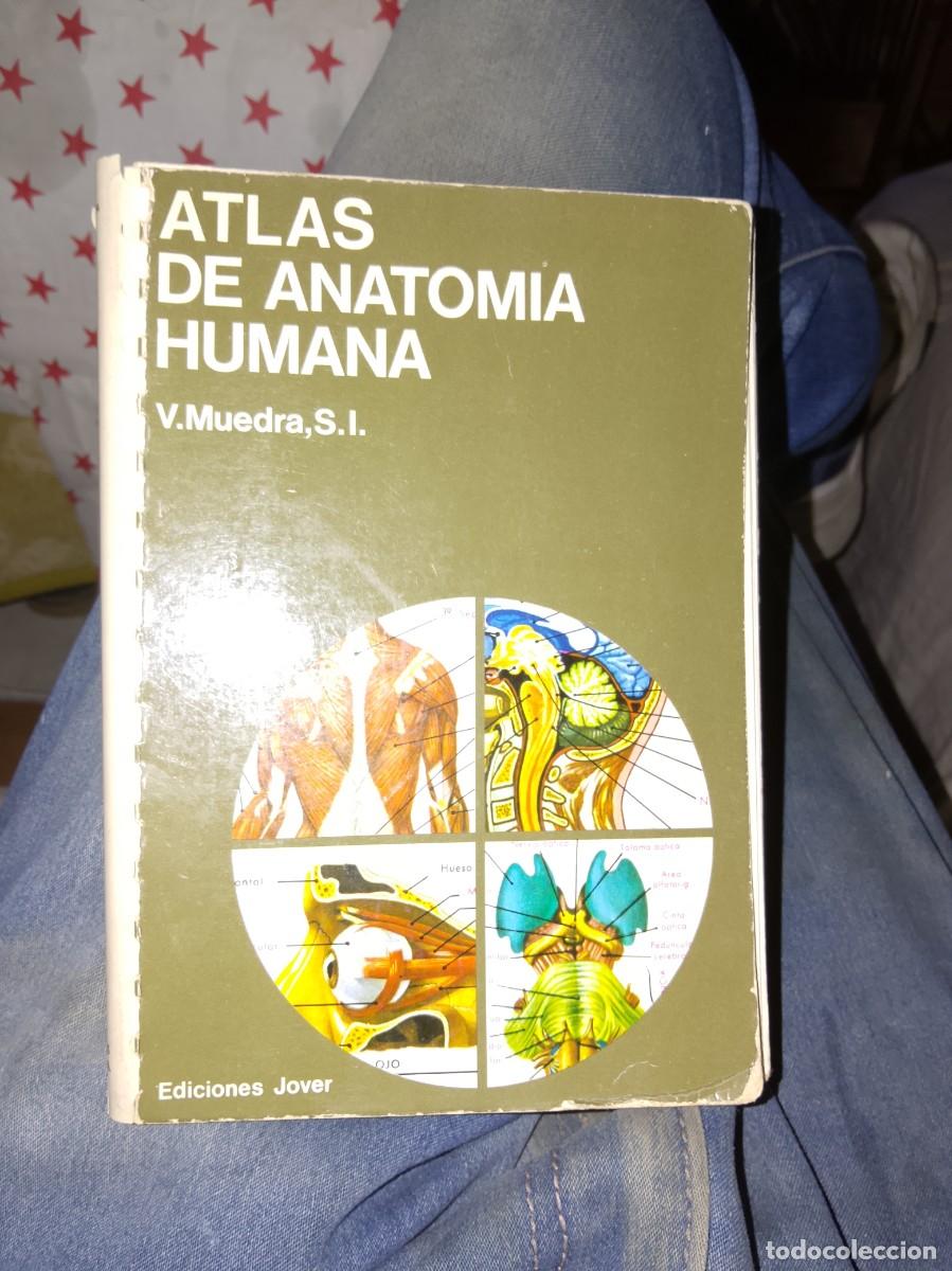 Libros de segunda mano: Colecci&oacute;n atlas anatom&iacute;a humana