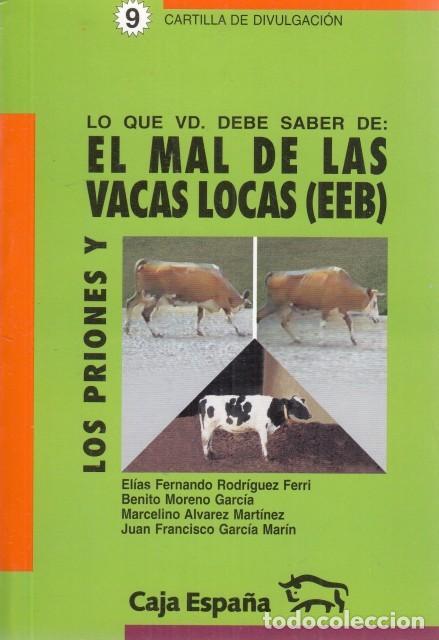 Libros de segunda mano: Lo que vd debe saber de el mal de las vacas locas (EEB): y los priones - Varios autores - Caja Espa&ntilde;