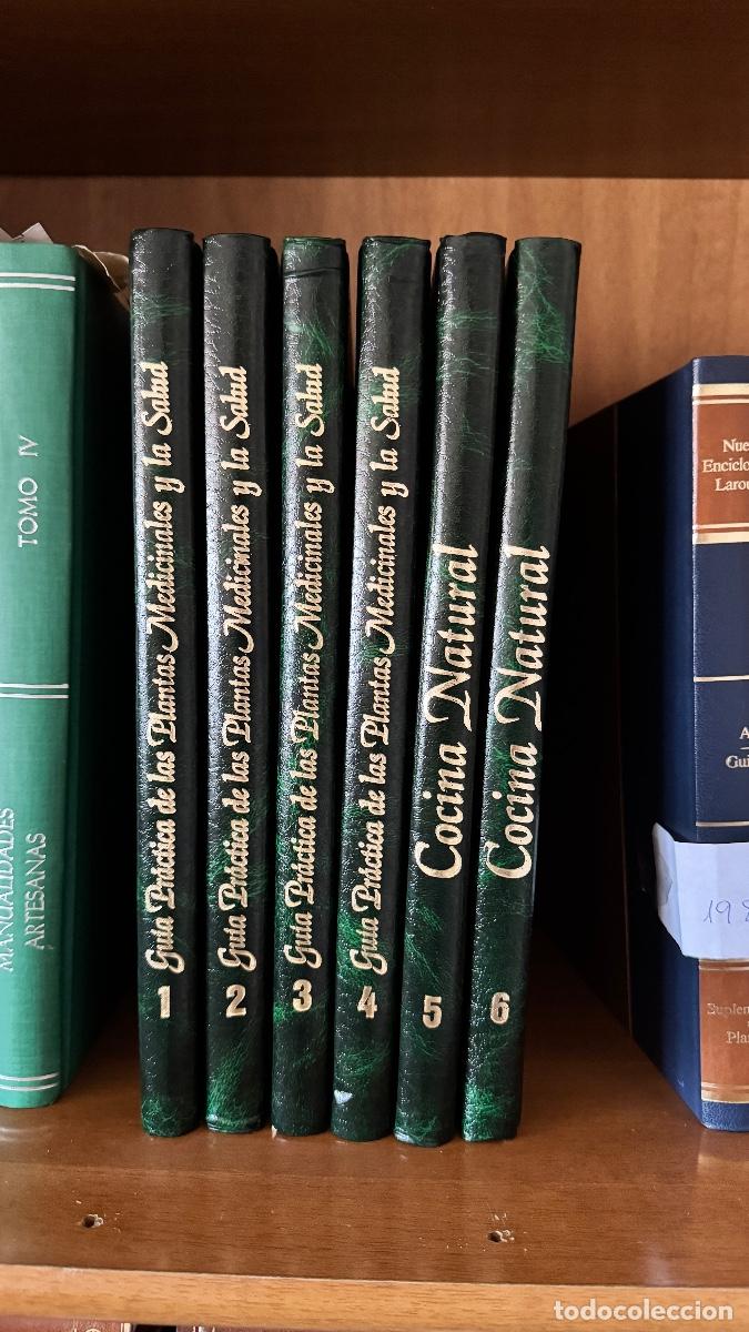 Libros de segunda mano: Colecci&oacute;n Gu&iacute;a Pr&aacute;ctica de las plantas medicinales y la salud. Y Cocina Natural