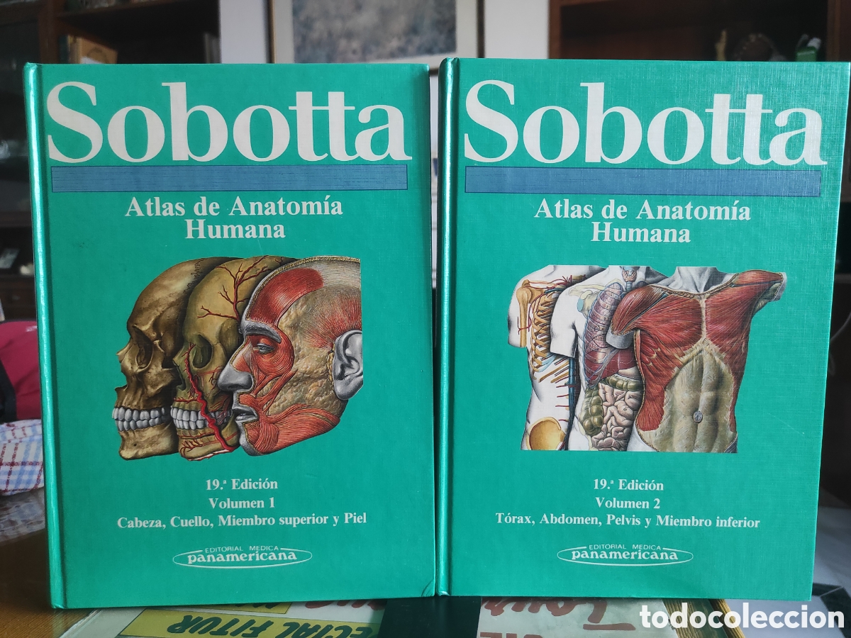 Libros de segunda mano: Sobotta. ATLAS DE ANATOM&Iacute;A HUMANA. Tomos 1 y 2. (19 edici&oacute;n) OBRA COMPLETA