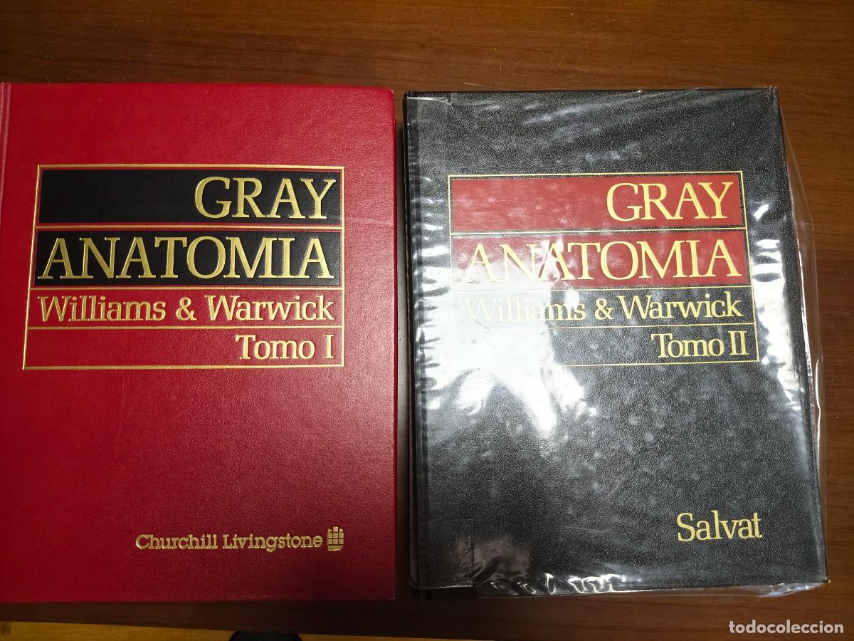 Libros de segunda mano: Anatom&iacute;a de Gray. 2 tomos