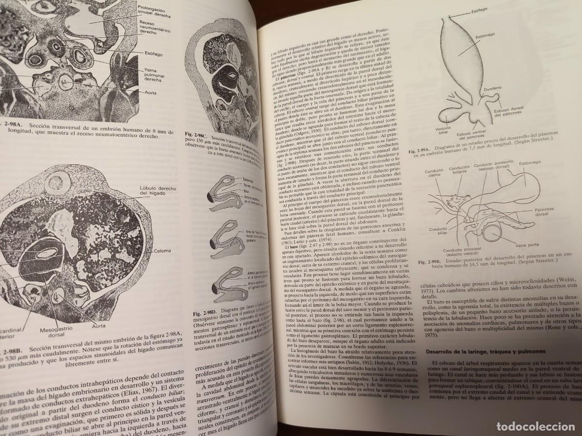 Libros de segunda mano: Anatom&iacute;a de Gray. 2 tomos - Foto 2