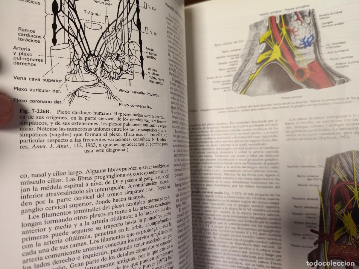 Libros de segunda mano: Anatom&iacute;a de Gray. 2 tomos - Foto 3