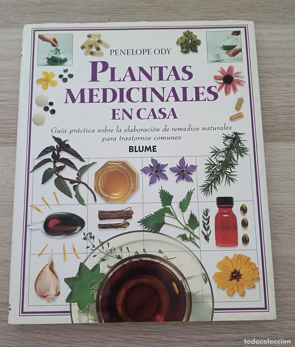 Libros de segunda mano: PLANTAS MEDICINALES EN CASA, Penelope Ody, Elaboraci&oacute;n de Remedios Naturales, Ed. BLUME