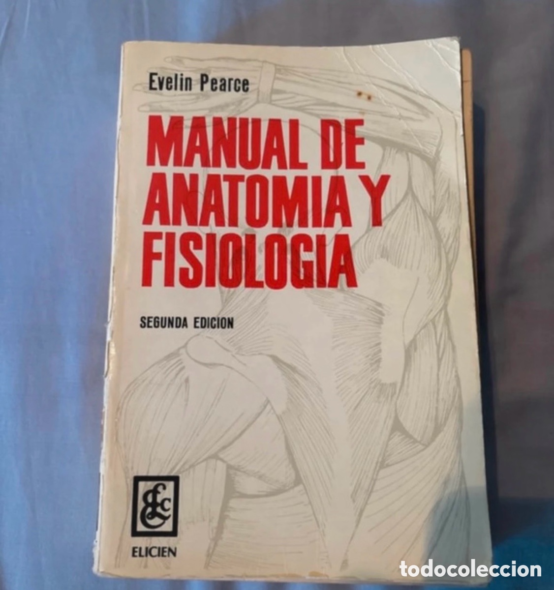 Libros de segunda mano: Manual de Anatom&iacute;a y Fisiolog&iacute;a - Evelin Pearce
