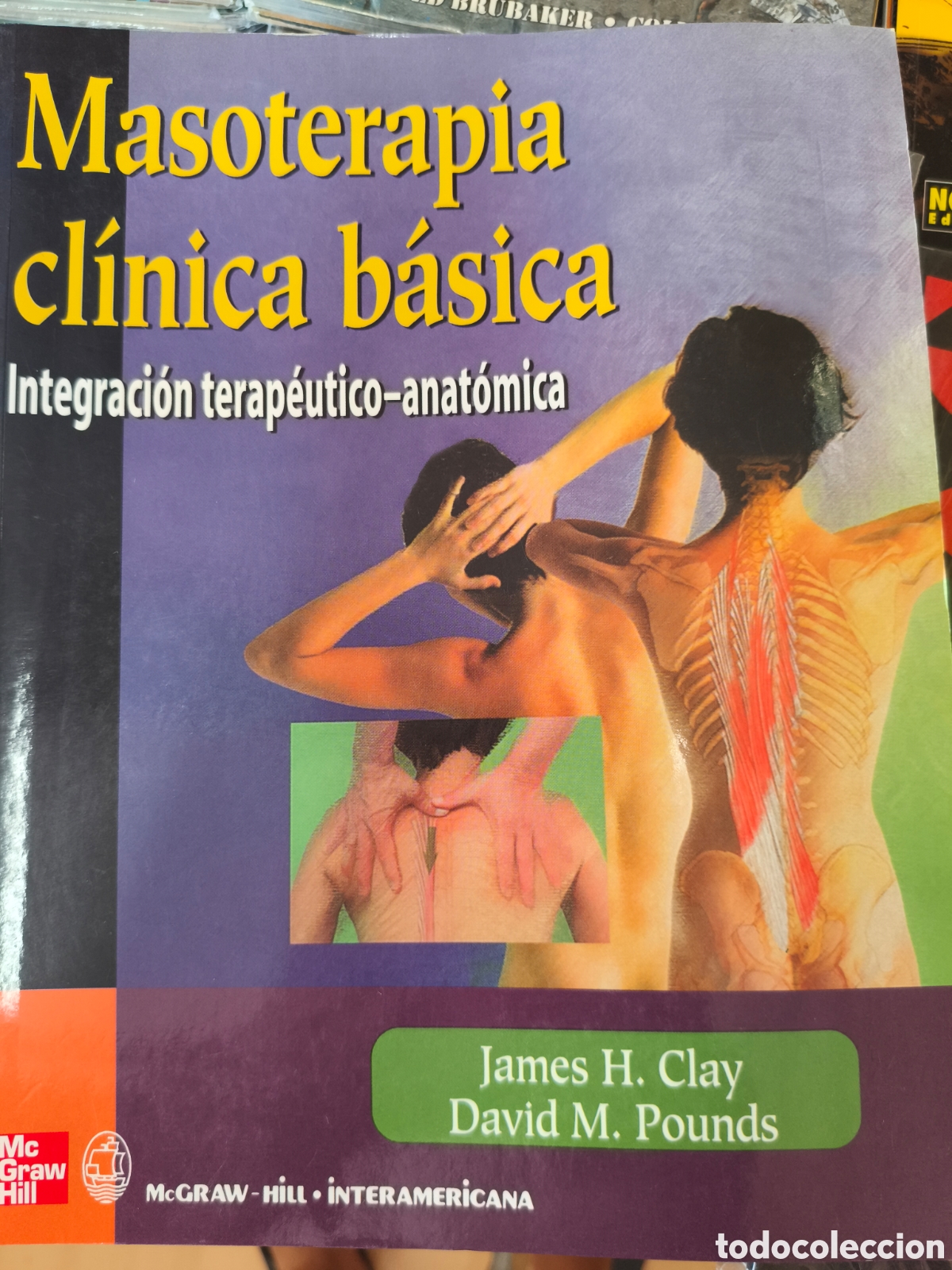 Libros de segunda mano: Mas&oacute; terapia cl&iacute;nica b&aacute;sica. Clay. Interamericana