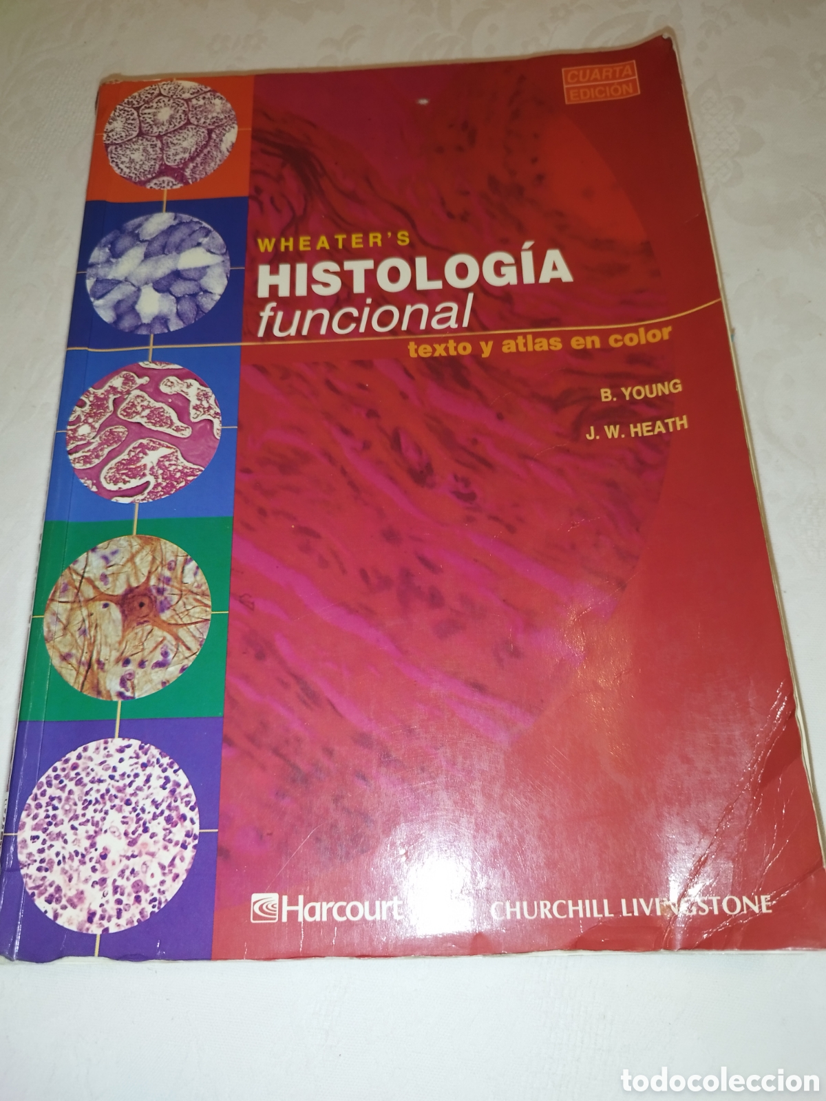 Libros de segunda mano: WHEATER&acute;S. HISTOLOGIA FUNCIONAL: TEXTO Y ATLAS EN COLOR. ED. HSRCOURT, 2000. ILUSTRADO.