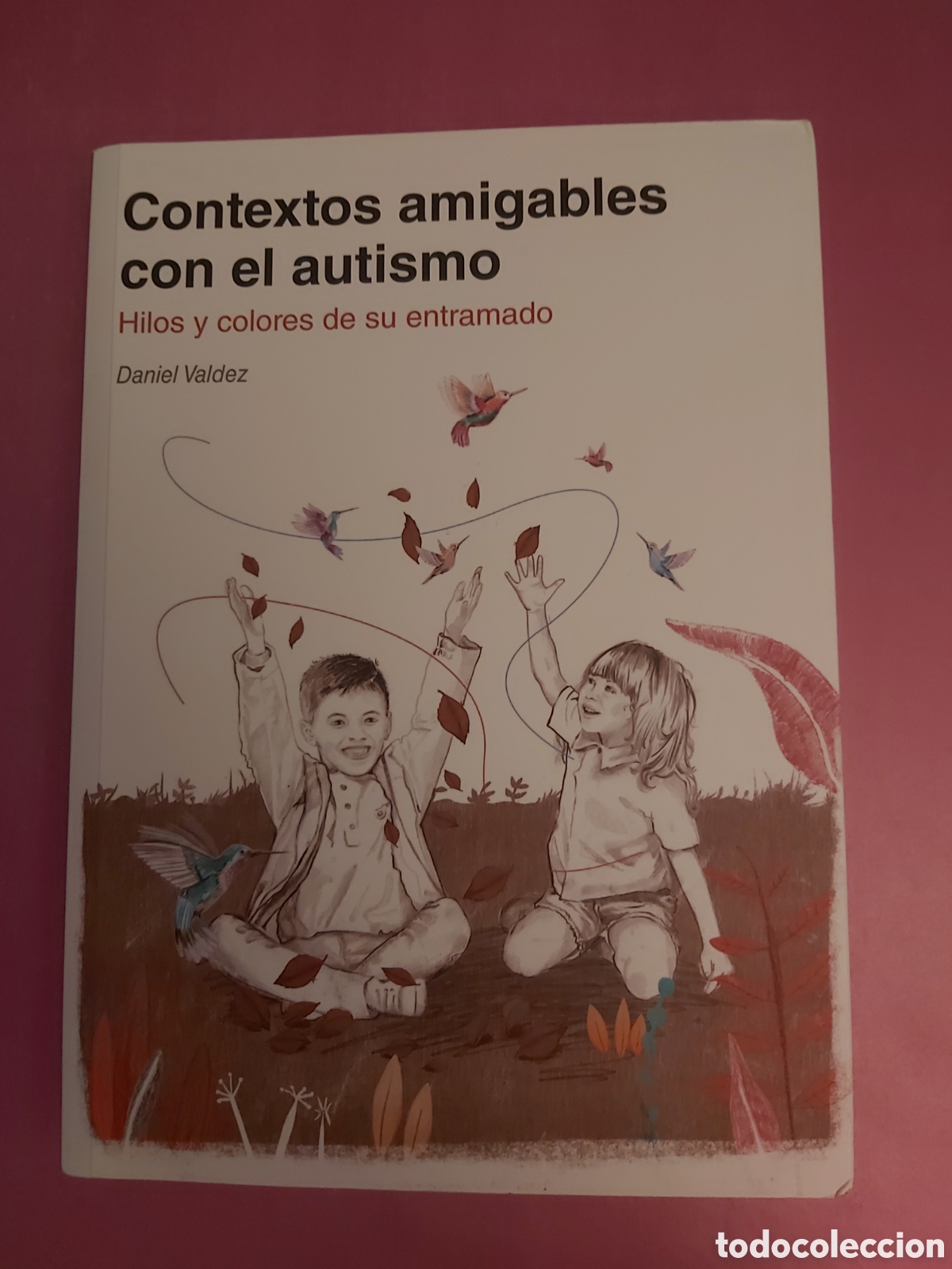 Libros de segunda mano: CONTEXTOS AMIGABLES CON EL AUTISMO HILOS Y COLORES DE SU ENTRAMADO DANIEL VALDEZ AUTISMO &Aacute;VILA 2020